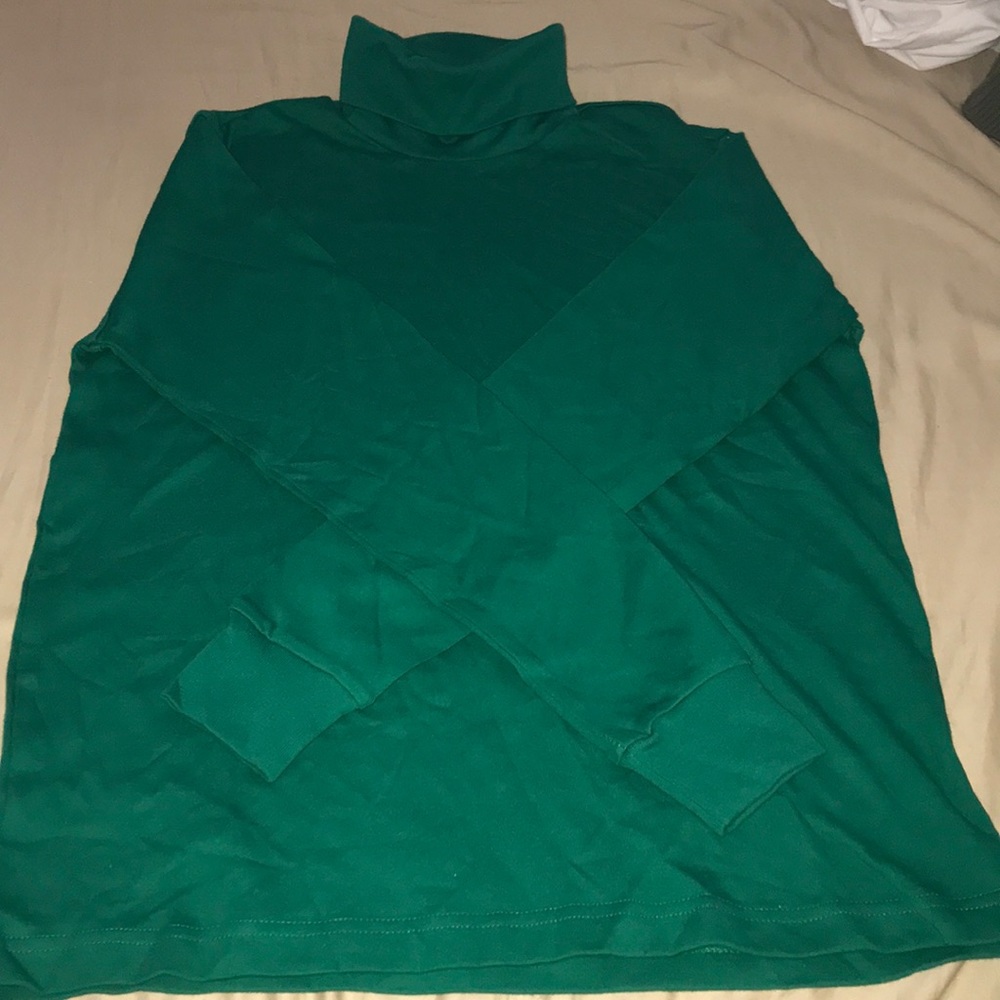 Karen Scott Sport green turtle neck